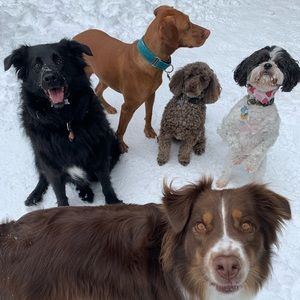 Meet your Posher, Tally